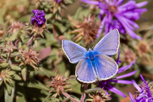 Champ des Possibles - 2015-09-26