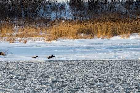 Frozen River Banks