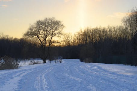 Winter Sunset Park Angrignon