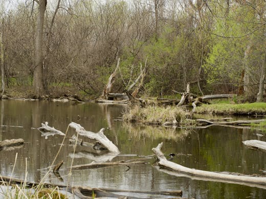 Spring day at Park des Prairies