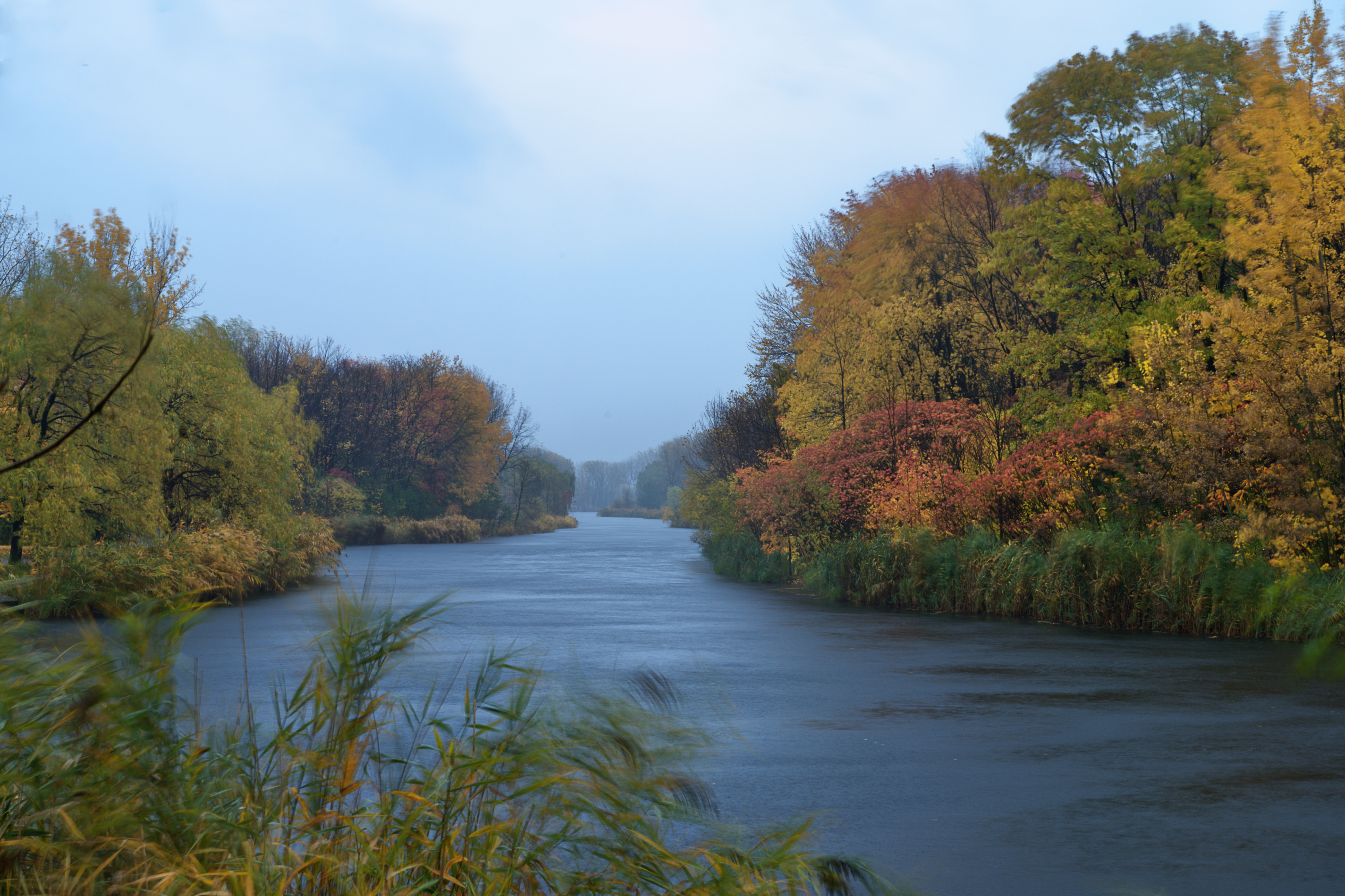 Parc Angrignon - 2019-10-27
