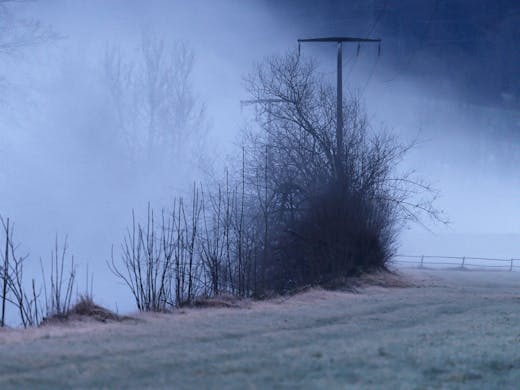 Fog along the valley