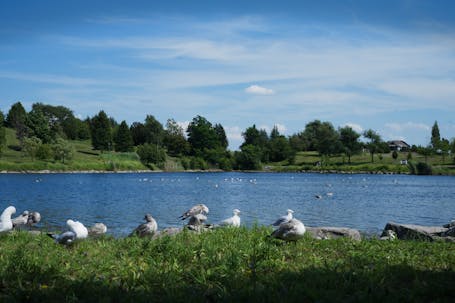 View Across the Larger Lake