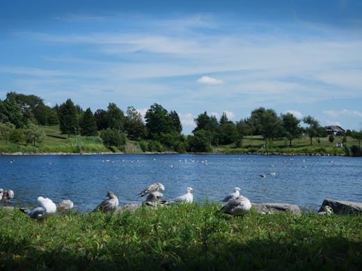View Across the Larger Lake