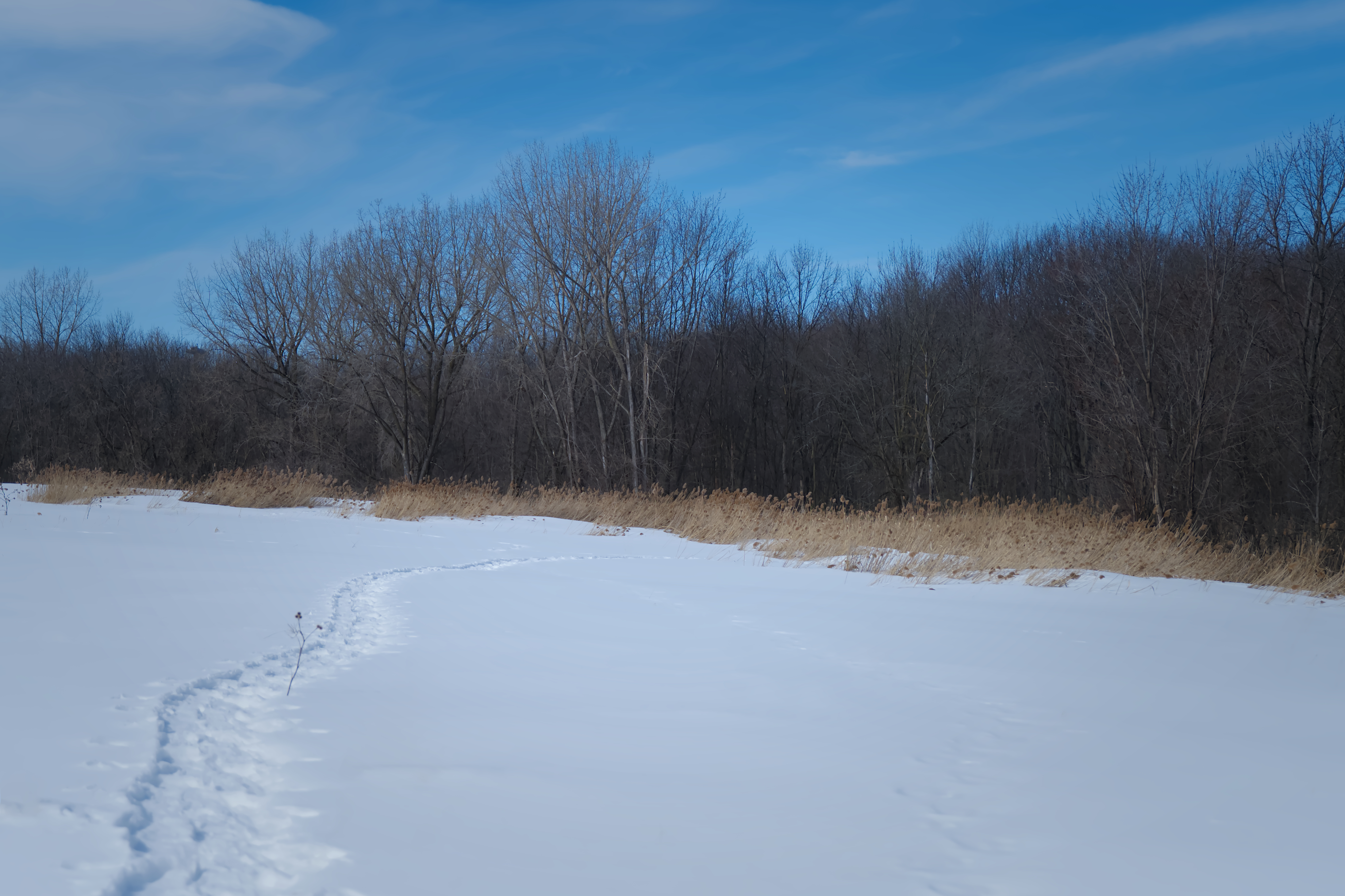 Parc nature de la Pointe-aux-Prairies - 2023-03-11