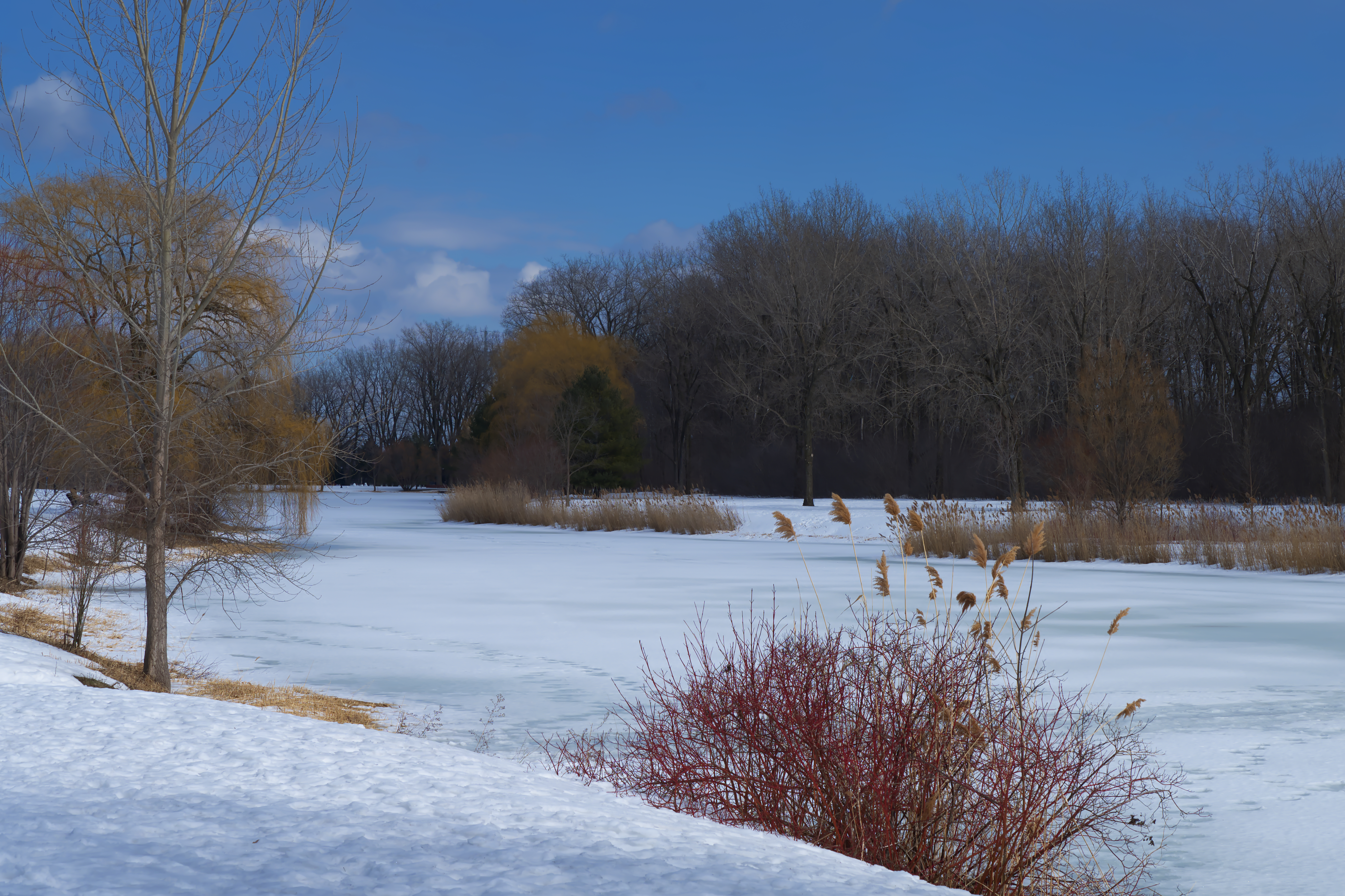 Parc Angrignon - Parc Angrignon - 2023-03-18