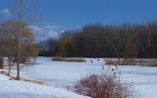 Large Pond Frozen in Winter - Parc Angrignon - 2023-03-18