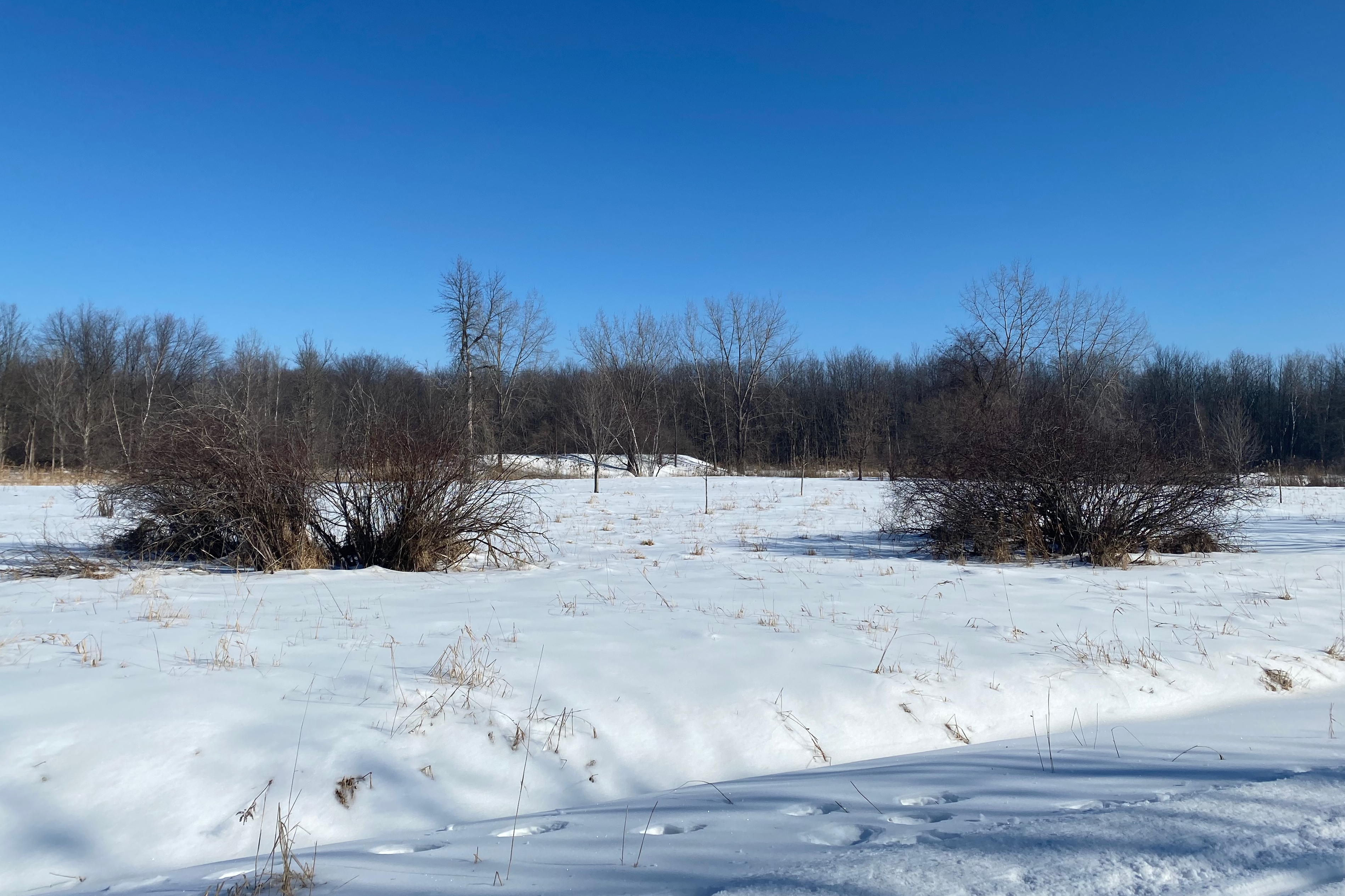 Parc Michel-Chartrand - 2024-02-04